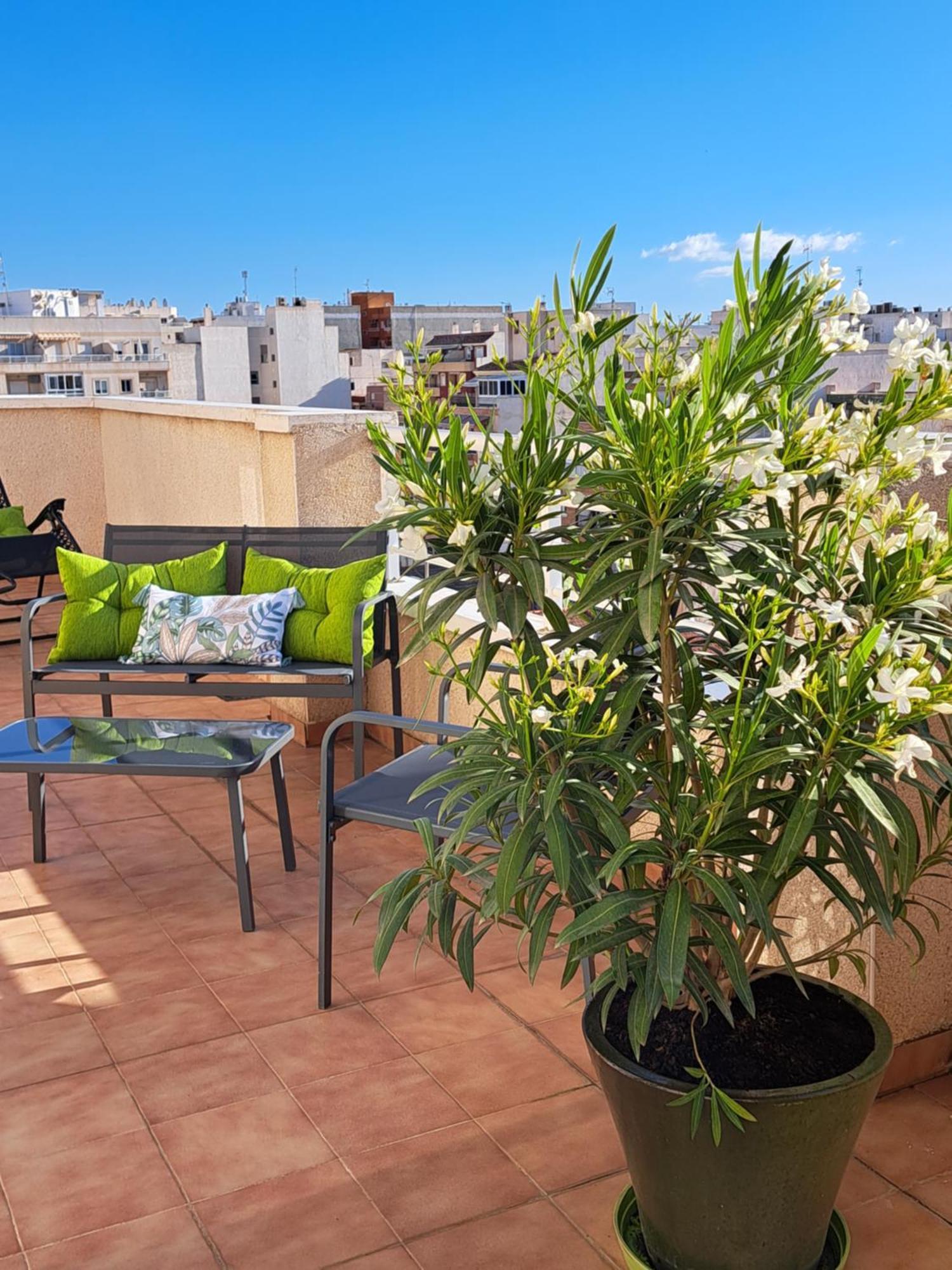 Atico Roof Top Torrevieja Esterno foto
